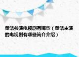 董洁参演电视剧有哪些（董洁主演的电视剧有哪些简介介绍）