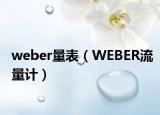 weber量表（WEBER流量计）