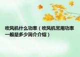 吹风机什么功率（吹风机常用功率一般是多少简介介绍）