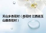 天山乡杏花村（杏花村 江西省玉山县杏花村）