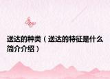 送达的种类（送达的特征是什么简介介绍）