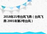 2018年21号台风飞燕（台风飞燕 2001年第2号台风）