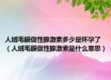 人绒毛膜促性腺激素多少是怀孕了（人绒毛膜促性腺激素是什么意思）