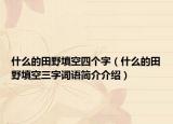 什么的田野填空四个字（什么的田野填空三字词语简介介绍）
