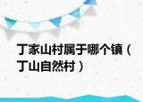 丁家山村属于哪个镇（丁山自然村）