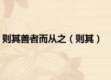则其善者而从之（则其）