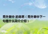 秀外慧中 的意思（秀外慧中下一句是什么简介介绍）