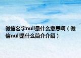 微信名字null是什么意思啊（微信null是什么简介介绍）