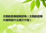 太阳的后裔结局好吗（太阳的后裔大结局是什么简介介绍）