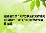 鼓励生三孩 17部门联合发文详细内容 鼓励生三孩 17部门联合发文具体介绍
