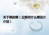 关于鹅的梗（企鹅肉什么梗简介介绍）
