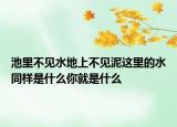 池里不见水地上不见泥这里的水同样是什么你就是什么