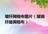 玻纤网格布图片（玻璃纤维网格布）