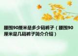 腰围90厘米是多少码裤子（腰围90厘米是几码裤子简介介绍）