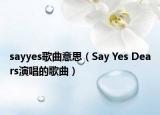 sayyes歌曲意思（Say Yes Dears演唱的歌曲）