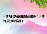 古筝 弹拨弦鸣乐器有哪些（古筝 弹拨弦鸣乐器）