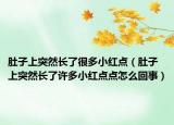肚子上突然长了很多小红点（肚子上突然长了许多小红点点怎么回事）