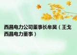 西昌电力公司董事长牟昊（王戈 西昌电力董事）