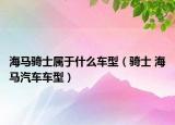 海马骑士属于什么车型（骑士 海马汽车车型）