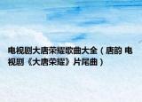 电视剧大唐荣耀歌曲大全（唐韵 电视剧《大唐荣耀》片尾曲）