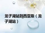 龙子湖站到西亚斯（龙子湖站）