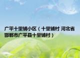 广平十里铺小区（十里铺村 河北省邯郸市广平县十里铺村）