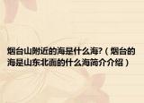 烟台山附近的海是什么海?（烟台的海是山东北面的什么海简介介绍）