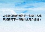人生若只如初见的下一句是（人生只如初见下一句是什么简介介绍）