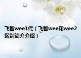 飞智wee1代（飞智wee和wee2区别简介介绍）