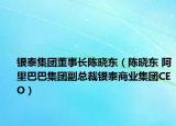 银泰集团董事长陈晓东（陈晓东 阿里巴巴集团副总裁银泰商业集团CEO）