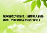 屈原跳进了哪条江（屈原跳入的是哪条江为啥会跳河的简介介绍）