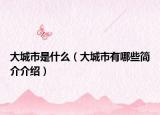 大城市是什么（大城市有哪些简介介绍）