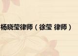 杨晓莹律师（徐莹 律师）