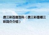 唐三彩百度百科（唐三彩是哪三彩简介介绍）