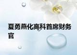 夏勇燕化高科首席财务官