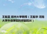 王振亚 郑州大学教授（王振华 河南大学外语学院科研副院长）
