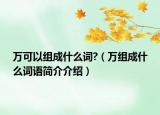 万可以组成什么词?（万组成什么词语简介介绍）