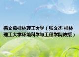杨文燕桂林理工大学（张文杰 桂林理工大学环境科学与工程学院教授）