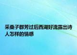采桑子群芳过后西湖好流露出诗人怎样的情感