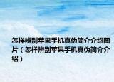 怎样辨别苹果手机真伪简介介绍图片（怎样辨别苹果手机真伪简介介绍）