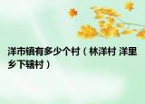 洋市镇有多少个村（林洋村 洋里乡下辖村）