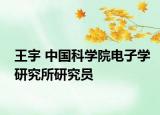 王宇 中国科学院电子学研究所研究员