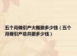 五个月做引产大概要多少钱（五个月做引产总共要多少钱）