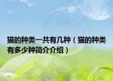 猫的种类一共有几种（猫的种类有多少种简介介绍）