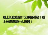 脸上长痤疮是什么原因引起（脸上长痤疮是什么原因）