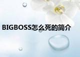 BIGBOSS怎么死的简介