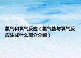 氨气和氧气反应（氨气能与氧气反应生成什么简介介绍）