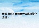 参数 意思（参数是什么意思简介介绍）