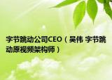 字节跳动公司CEO（吴伟 字节跳动原视频架构师）
