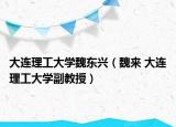 大连理工大学魏东兴（魏来 大连理工大学副教授）